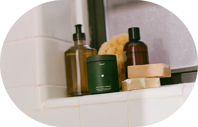 ds-01 on a counter